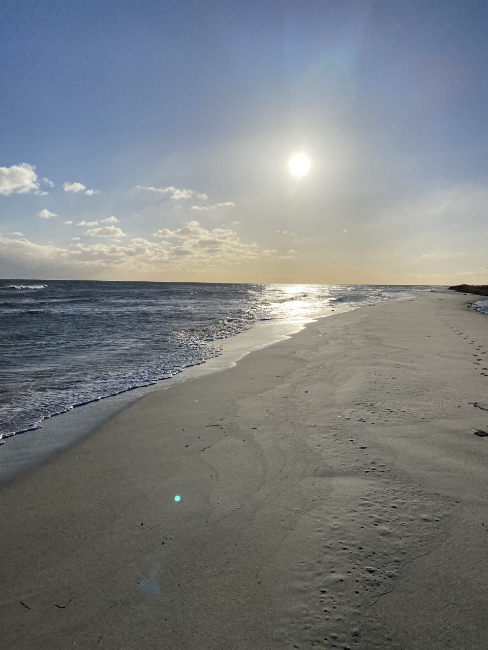 1:1 sessioner kan foregå i mit rolige og hyggelige coachinglokale eller i naturen